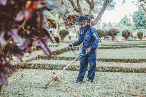 Landscaper in Grover Beach, CA Using Insured Tools and Equipment 