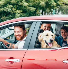 A dog with pet insurance riding in a car in San Luis Obispo, CA with its family