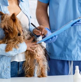 Pet owner signing a pet insurance policy at a vet in Santa Maria, CA